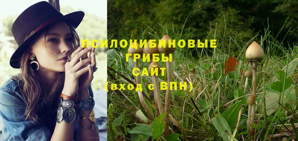 гидра Алексеевка