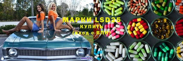 гидра Алексеевка