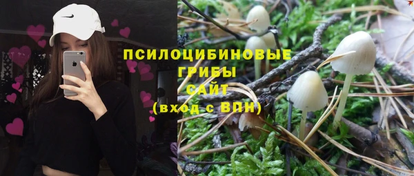 гидра Алексеевка