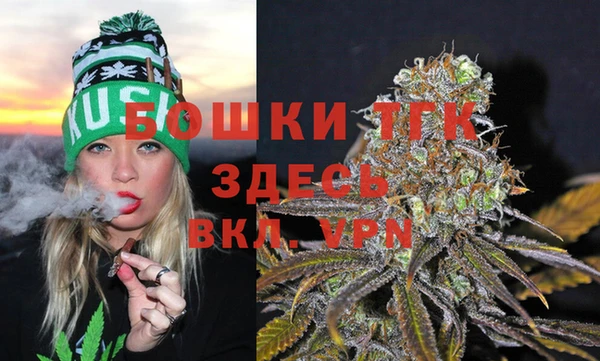 гидра Алексеевка